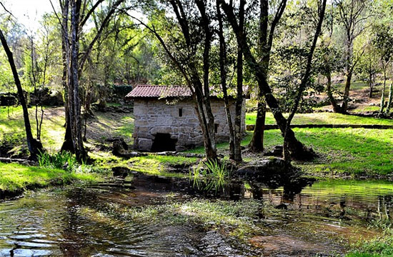 Cerrajeros en San Cibrao das Viñas